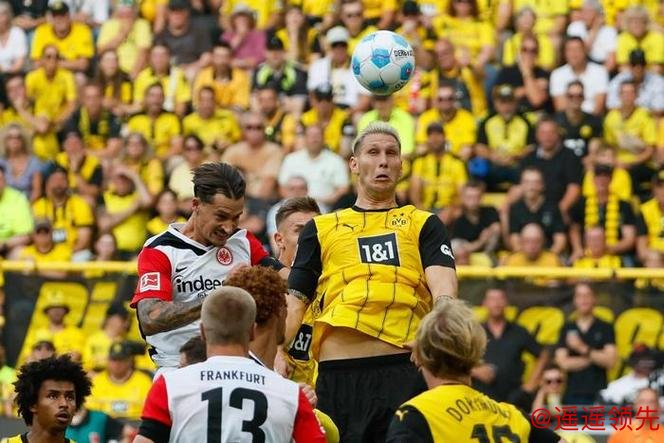 德国足球联盟：今年或无法恢复有现场观众的比赛